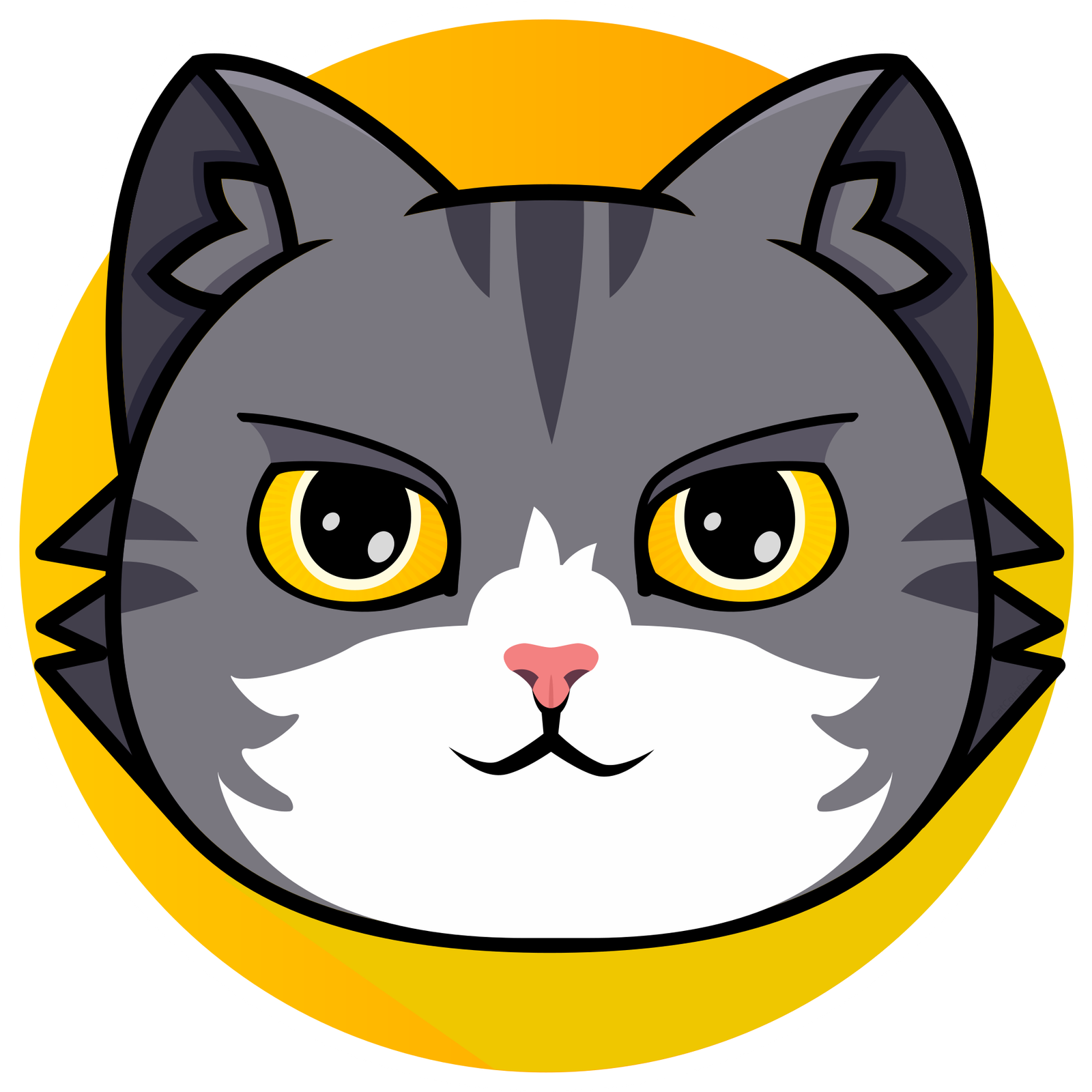 SG Cat-Sitting